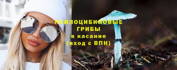 кокс Аркадак