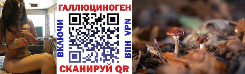 Галлюциногенные грибы Magic Shrooms  KRAKEN   Фурманов 